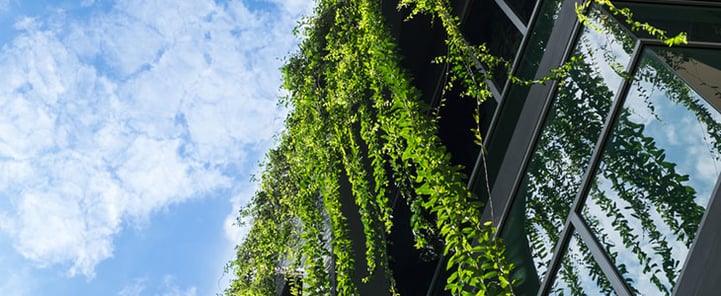 Sustainable commercial building