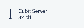 Cubit Server 32 bit button