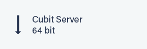 Cubit Server 64 bit button