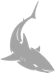 Shark Icon